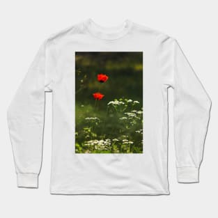 Joy of Spring Long Sleeve T-Shirt